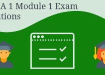 CCNA 1 Module 1 Exam Solutions