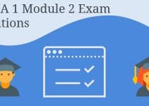 CCNA 1 Module 2 Exam Solutions