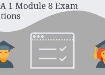 CCNA 1 Module 8 Exam Solutions
