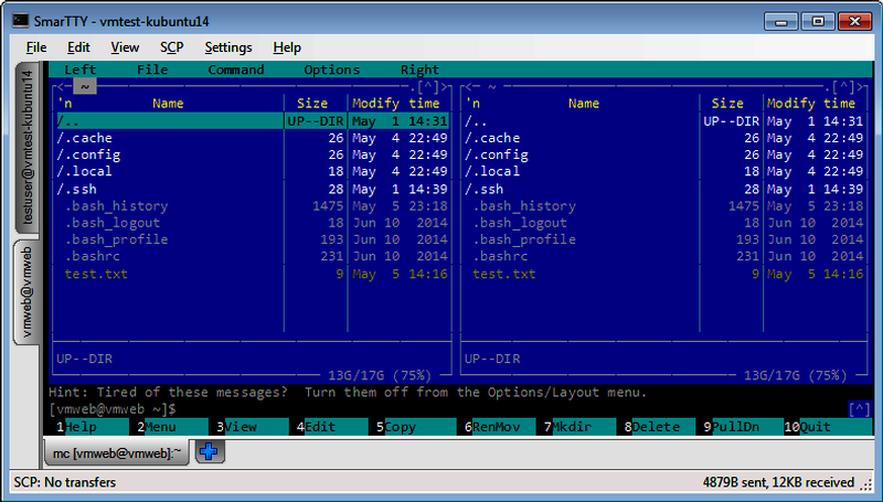 SmarTTY server screenshot