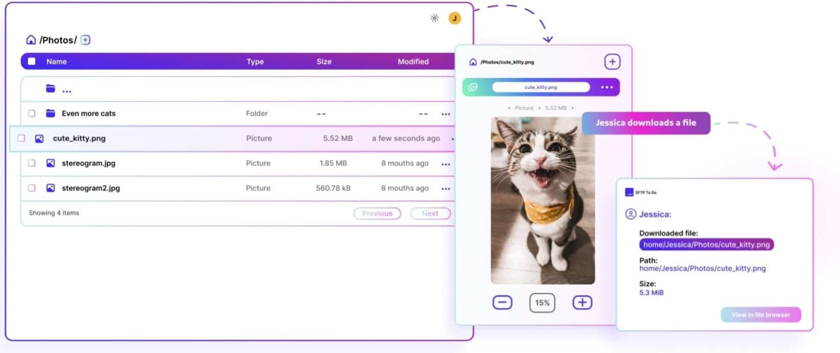 SFTP Go To Protocol Graphic